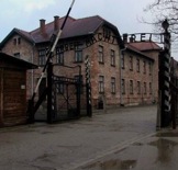 Auschwitz sources